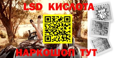 индика Нальчик
