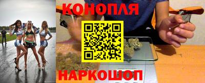 индика Нальчик