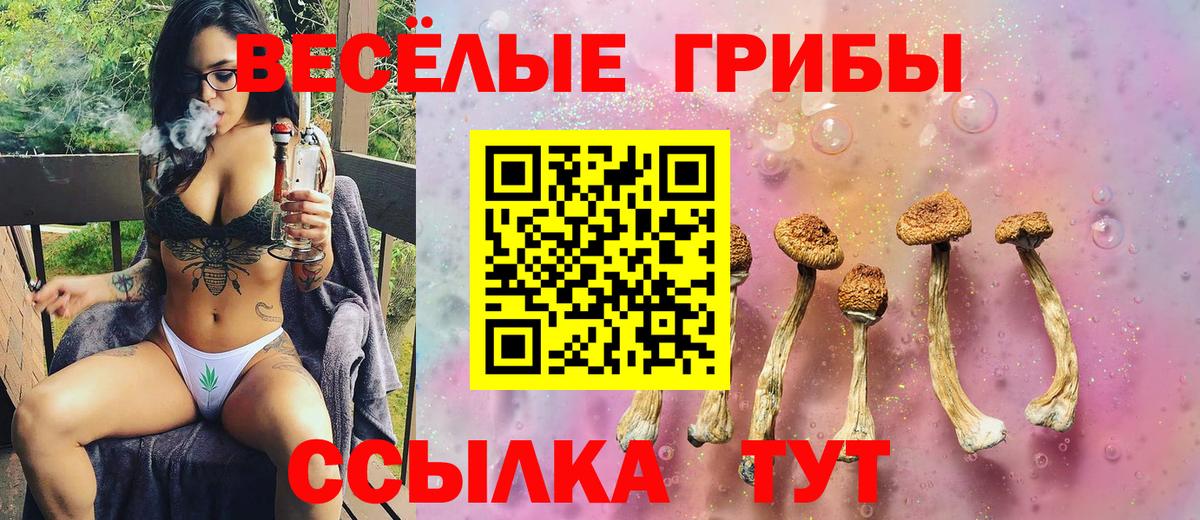 Псилоцибиновые грибы ЛСД  Псилоцибиновые грибы Psilocybine cubensis  Подольск  Вход с VPN 