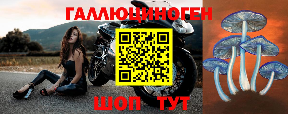 Галлюциногенные грибы мухоморы Подольск